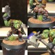 Warhammer 40K Ork Boyz 50-10