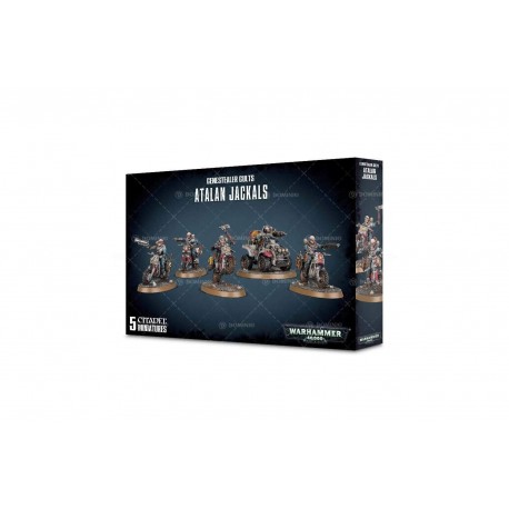 Warhammer 40K Space Marine 43-06