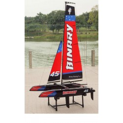 Joysway Mini catamaran RC Binary 400mm RTR