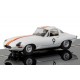 Scalextric Jaguar E Type 1965 Bathurst Bob Jane C3890