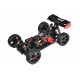 TEAM CORALLY RADIX 6 XP 6S BUGGY 1/8 BRUSHLESS RTR - C-00185