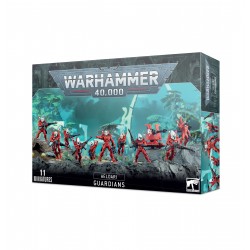 Warhammer 40k Gardiens de Choc