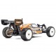 Hobbytech BUGGY 1/10EME BRUSHLESS HOBBYTECH BXR.S2 RTR