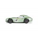 Scalextric C4338 Shelby Cobra 289 - COB289 - Bill Shepherd