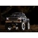 Traxxas 97044-1 TRX-4M Ford F-150 RTR