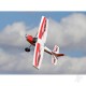 Arrows RC - Bigfoot - 1300mm - RTF avec système Vector