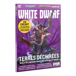 White Dwarf 458