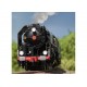 Marklin 38141 – Locomotive à vapeur 141.R.1244 -Locomotive surprise de 2024
