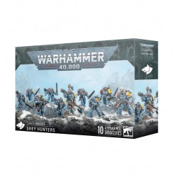 Warhammer 40k Chasseurs Gris