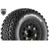 Louise RC - SC-HUMMER - Jeu de pneus Short Course 1/10 - Collés - Tendre - Jantes Noires - Hex SC amovible 1/10 - L-T3224SB