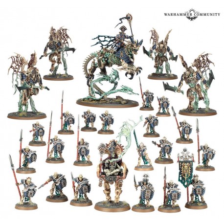 Warhammer Age of Sigmar : Phalange de la Myriade du Néant (O/B) 94-15